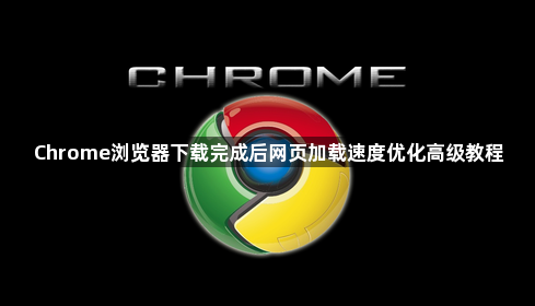Chrome浏览器下载完成后网页加载速度优化高级教程1