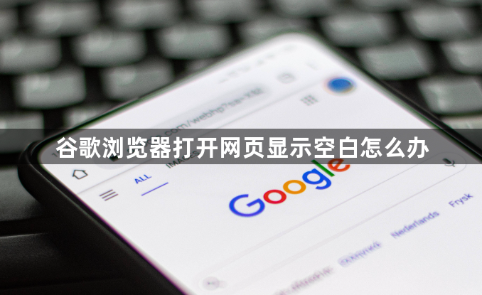谷歌浏览器打开网页显示空白怎么办1
