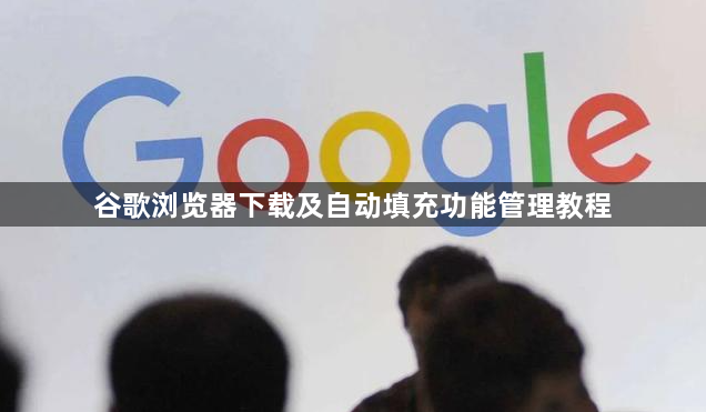 谷歌浏览器下载及自动填充功能管理教程1