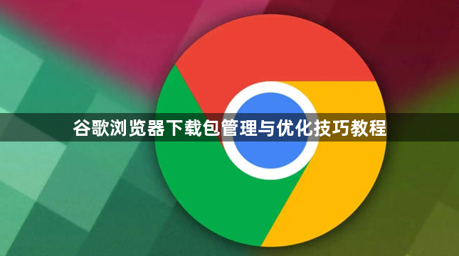 谷歌浏览器下载包管理与优化技巧教程1